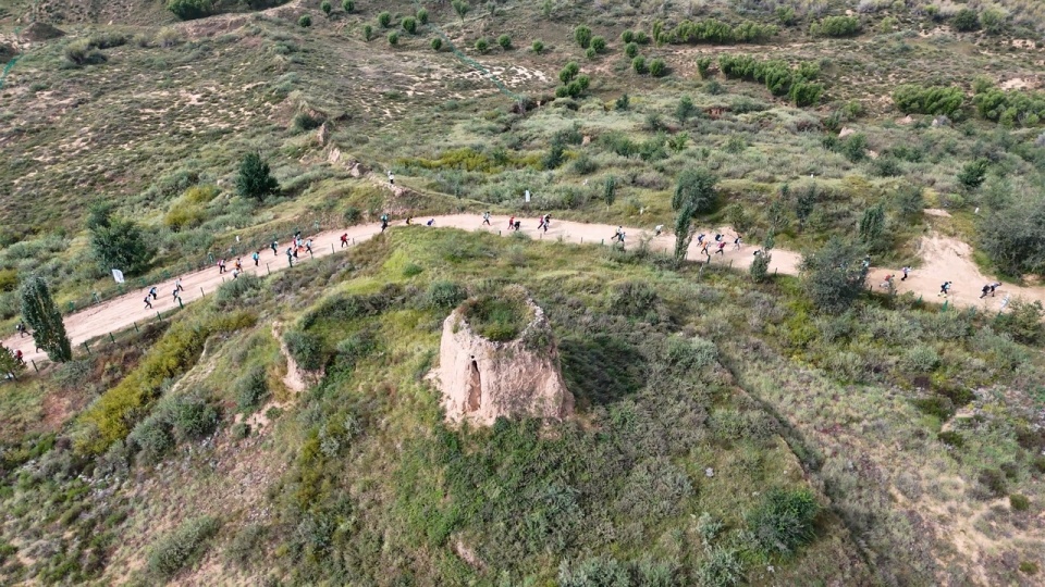 赛道依托长, 榆林市文化, 的绿植和风