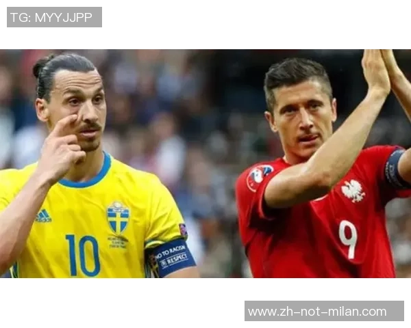 世预赛决战葡萄牙对瑞典第二回合精彩回顾与分析